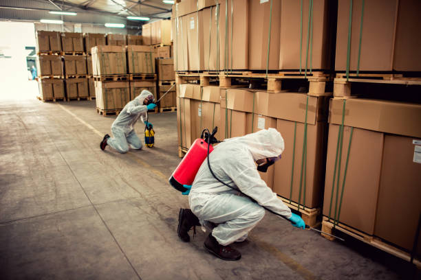 Best Pest Control Near Me in Mosheim, TN