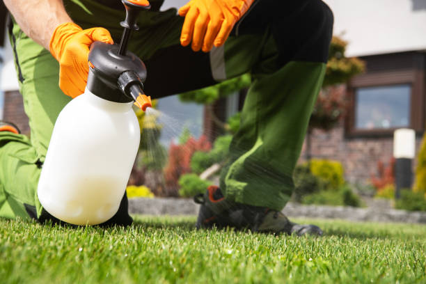 Best Pest Removal Services  in Mosheim, TN