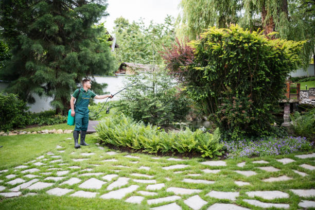 Best Best Pest Control Companies  in Mosheim, TN