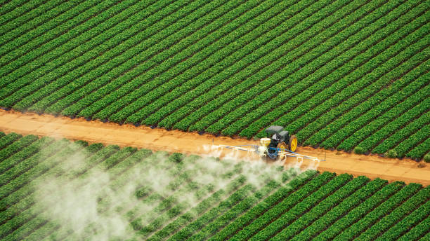 Best Pest Prevention Services  in Mosheim, TN