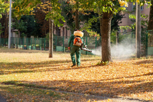 Best Wasp Removal Services  in Mosheim, TN