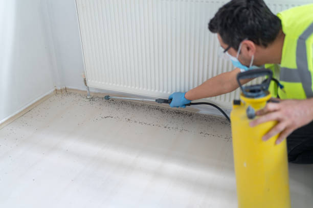 Best Pest Control Near Me  in Mosheim, TN